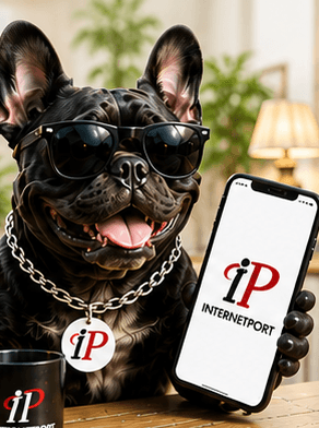Haze, the Internetport French bulldog